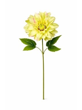 Green Dahlia Stem Artificial Flower 24 Inch 5 Inch Bloom Light Green